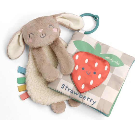 Itzy Learn &amp; Snuggle Gift Set
