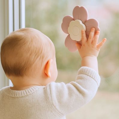 Suction Spinner Toy