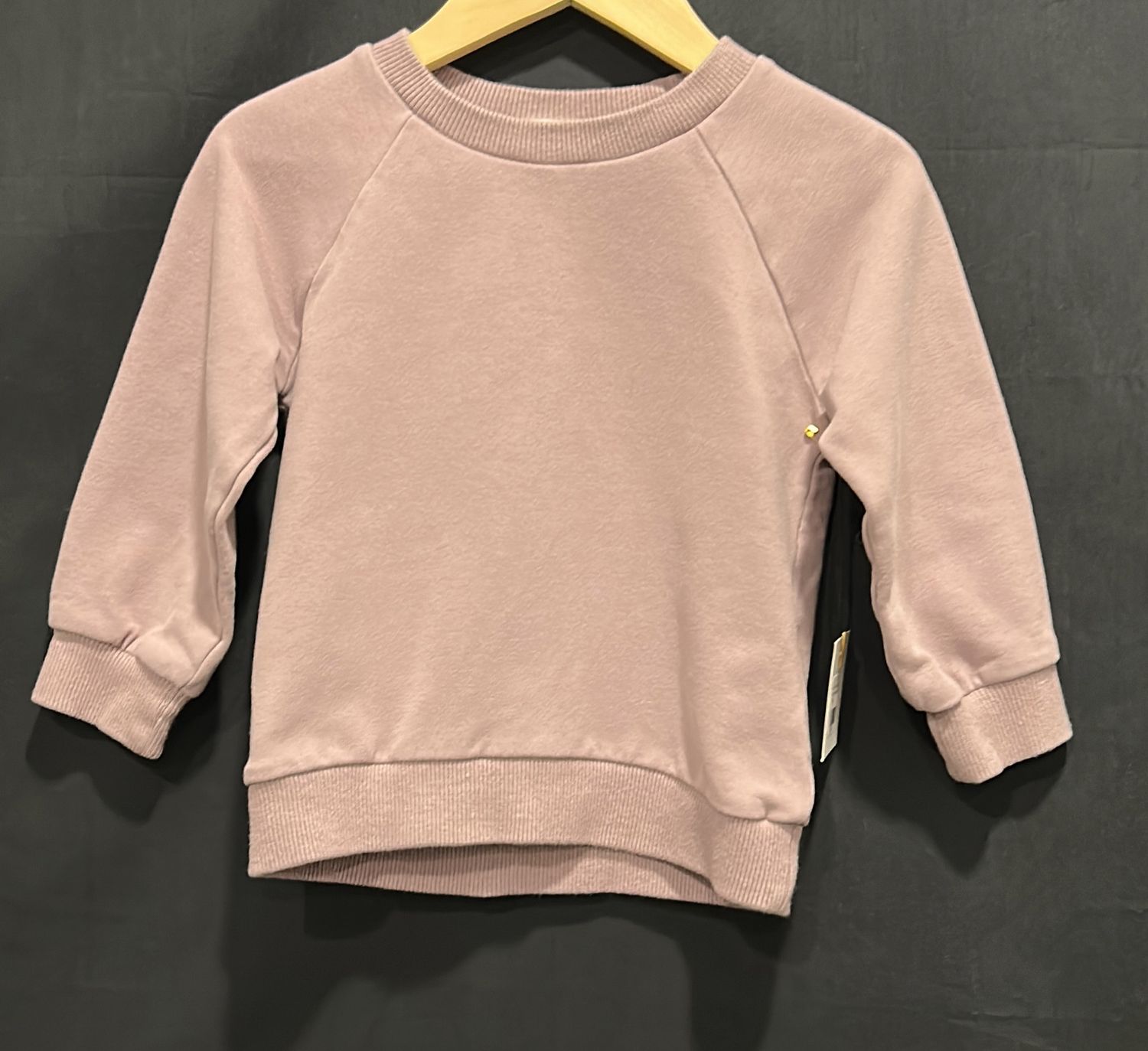 18-24m Ploom Lilac Sweatshirt