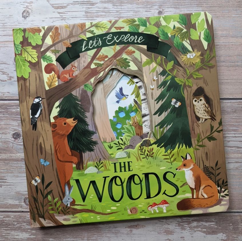 Lets Explore the Woods Book