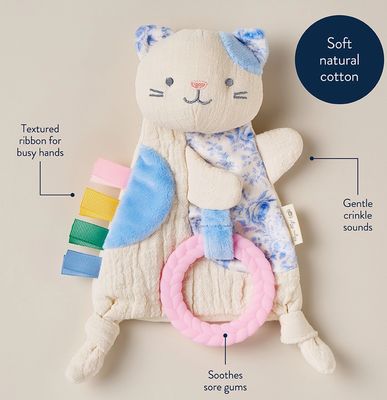 Kitty Crinkle Toy