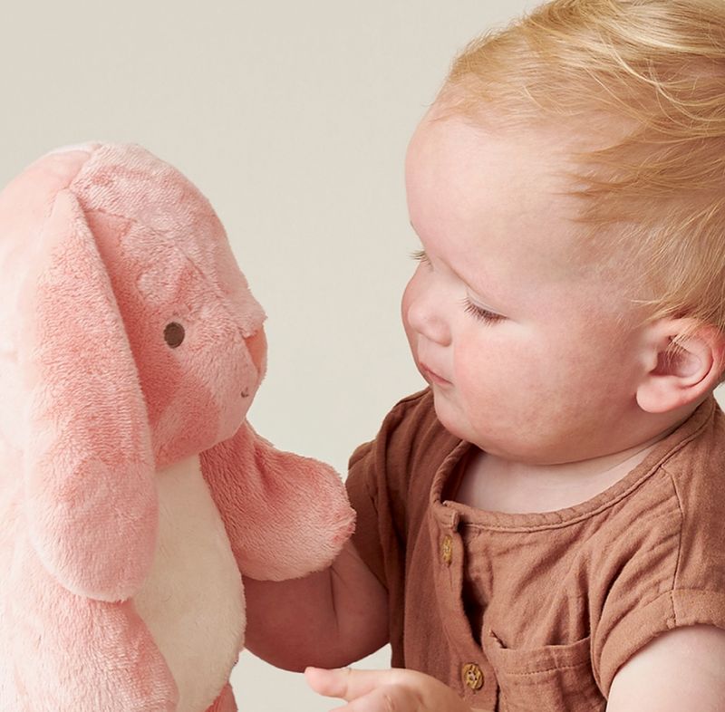 Sweetie Snuggles Pink Bunny