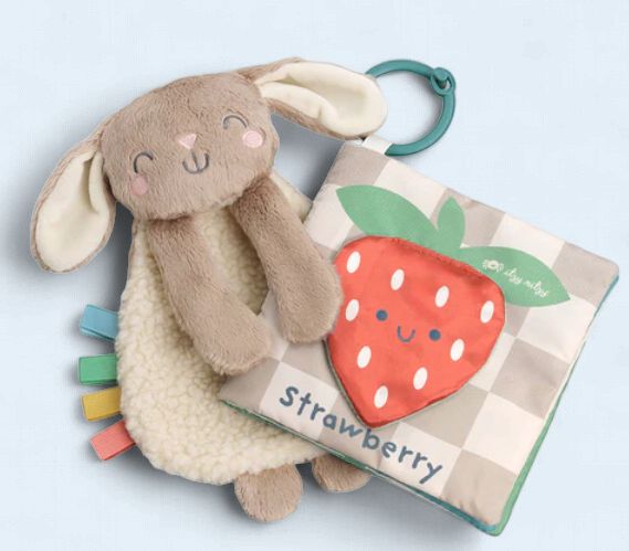 Itzy Learn &amp; Snuggle Gift Set