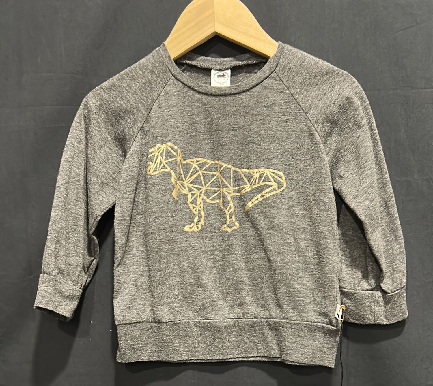 1-2T L&amp;L Dino Long Sleeve
