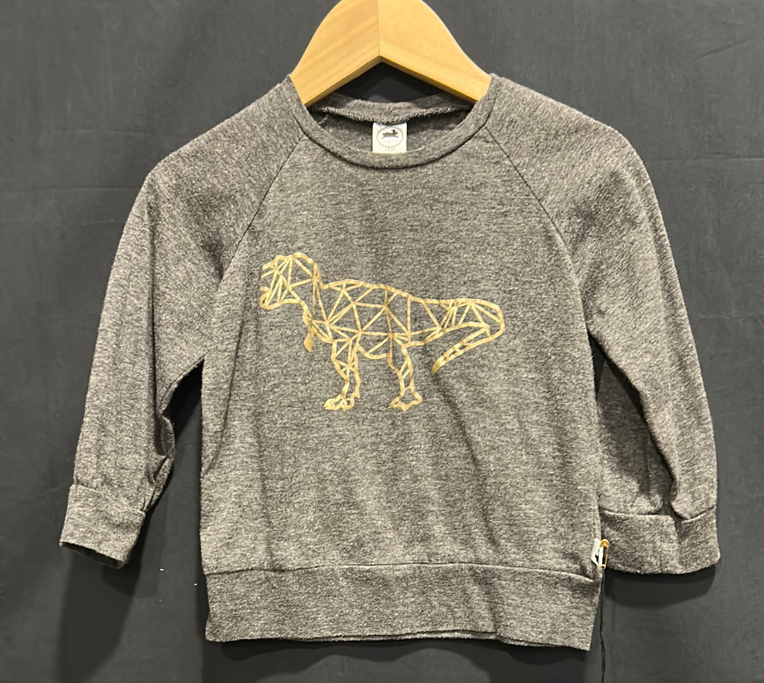 Used 1-2T L&amp;L Dino Long Sleeve