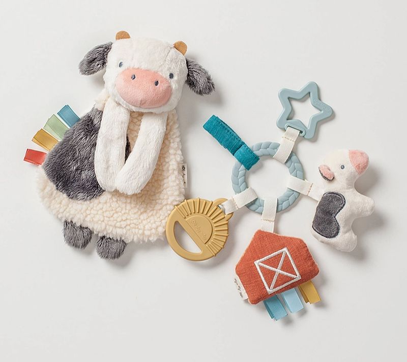 Bitzy Busy Gift Set