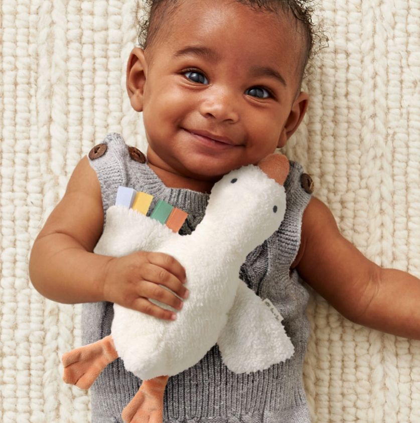 Itzy Huggable Goose