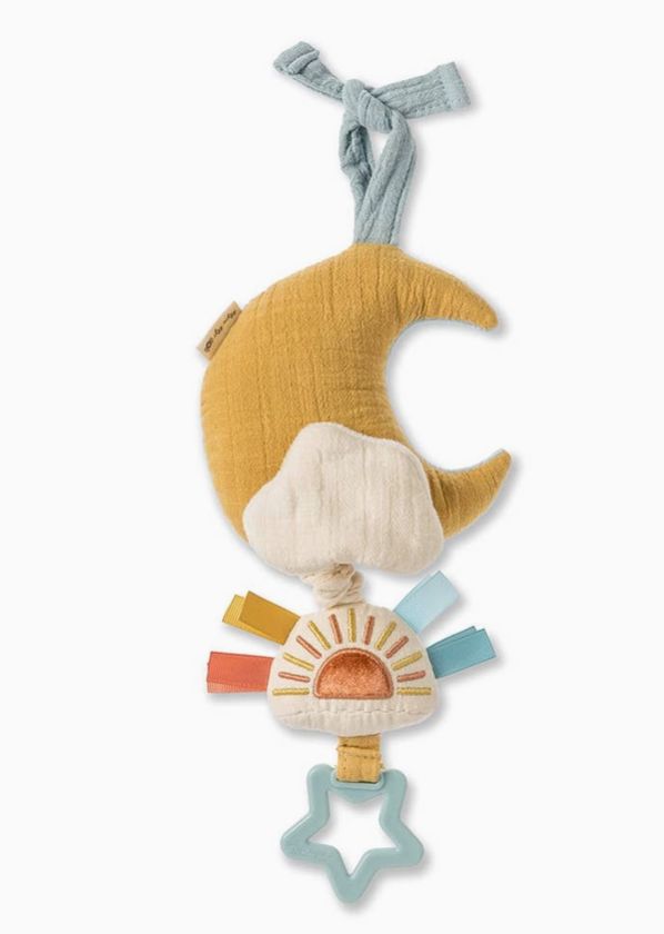 Bitzy Notes Musical Pull-Down Toy