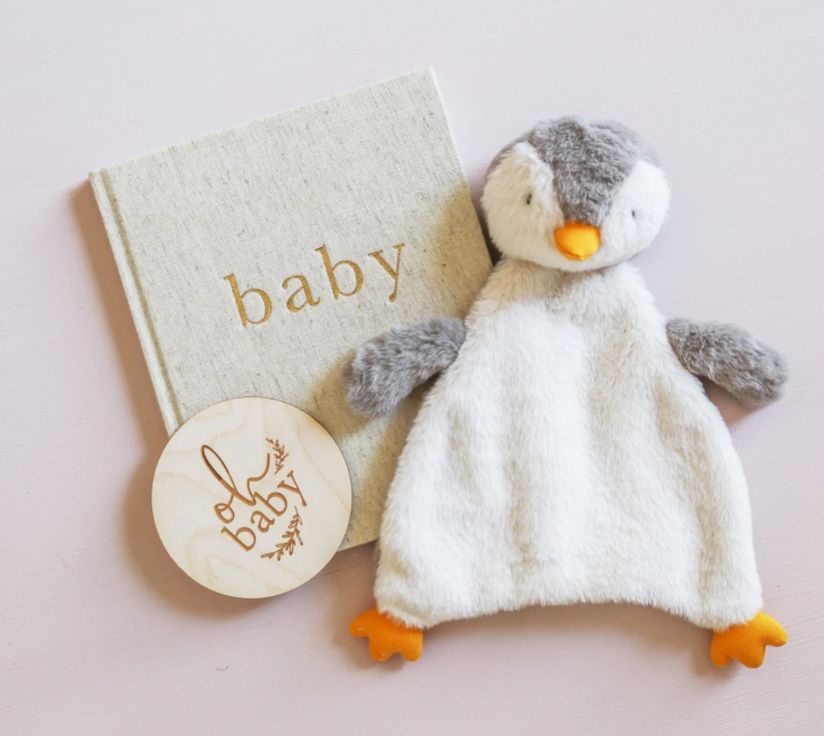 Plush Penguin Comforter 32cm