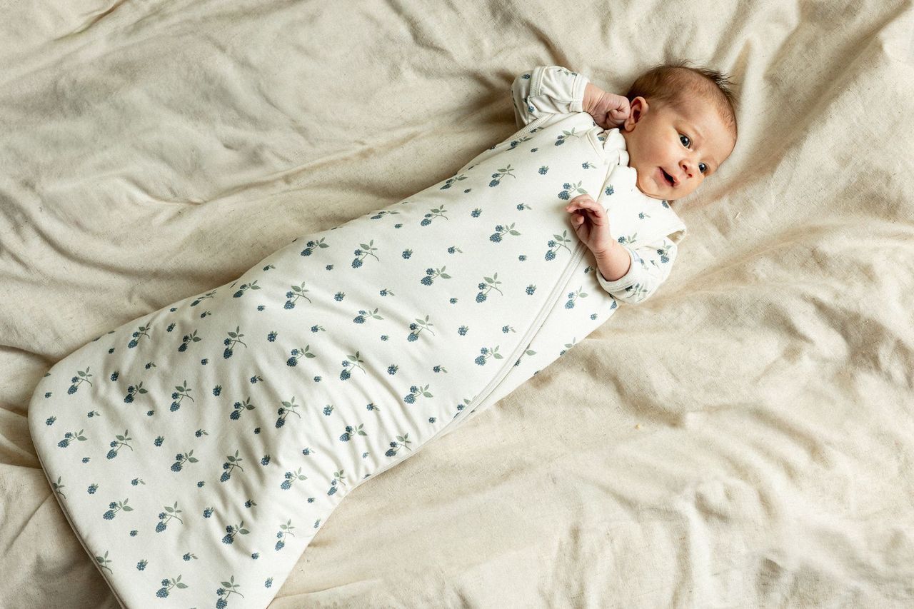 Blackberries 0.5 Tog Sleepsack