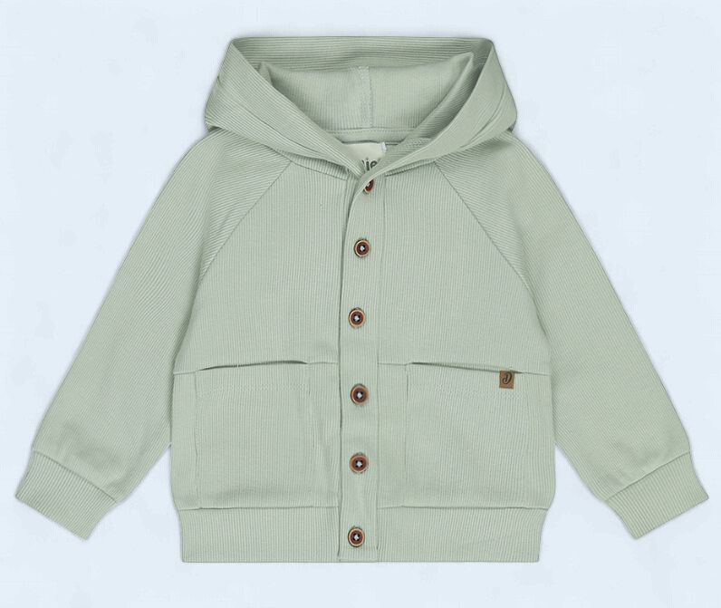 Dirkje Soft Green Hoodie 18mo