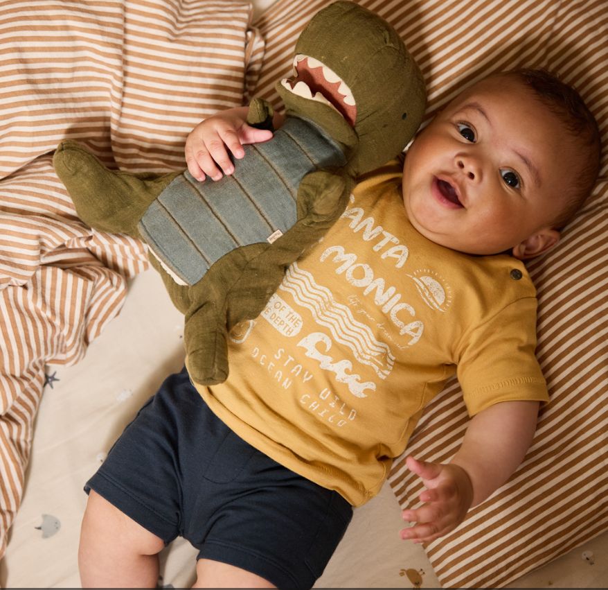 Dirkje Dark Blue Shorts