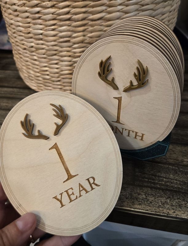 Antler Monthly Milestones