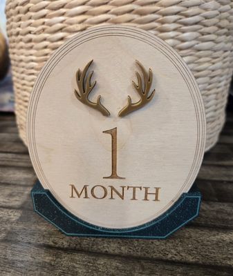 Antler Monthly Milestones
