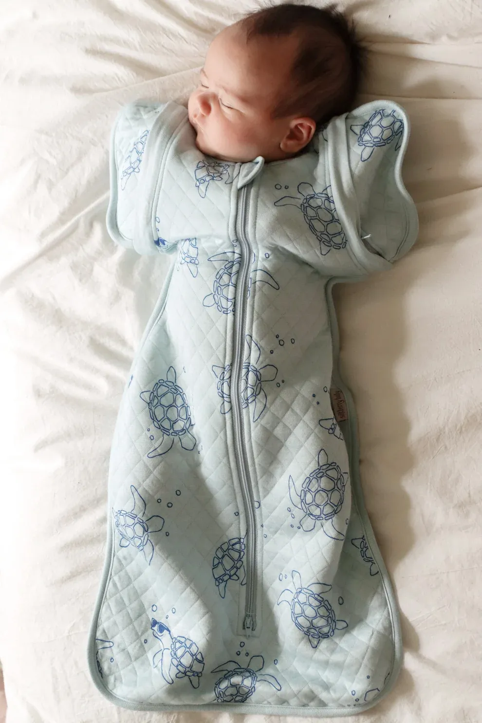 Newborn Cocoon Sack Sea Turtle NB