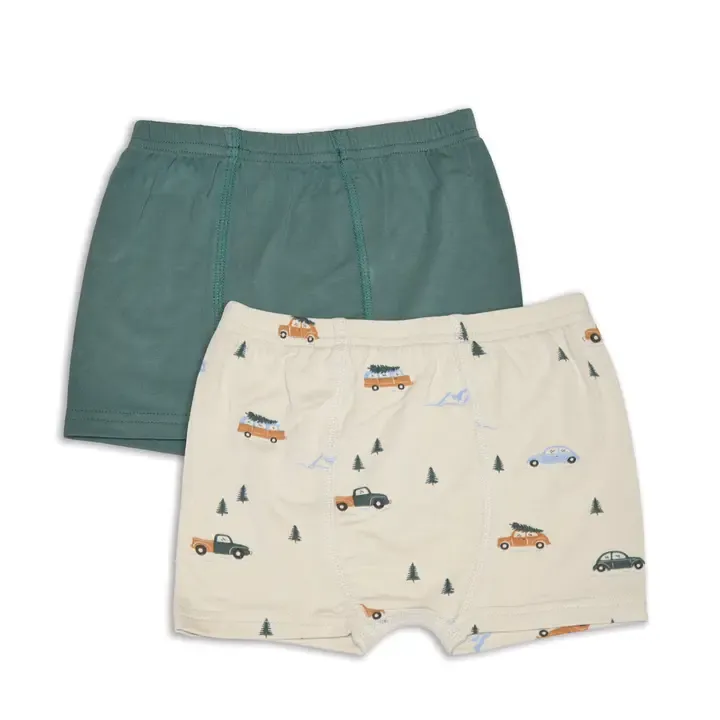 Silkberry Boys Underwear 2Pk Winter