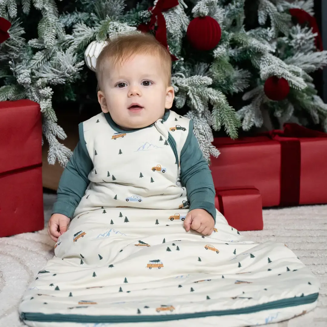 Silkberry 2.5 Tog Sleepsack Winter