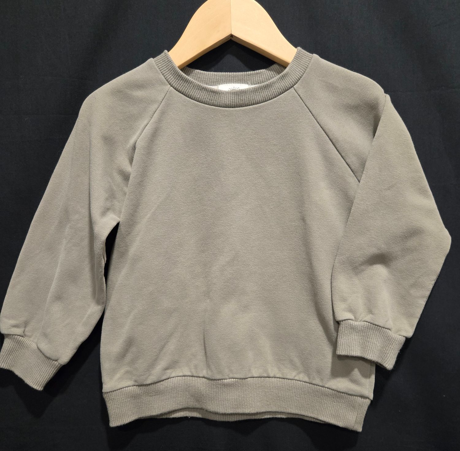 Used 2T Ploom Cotton Sage long Sleeve