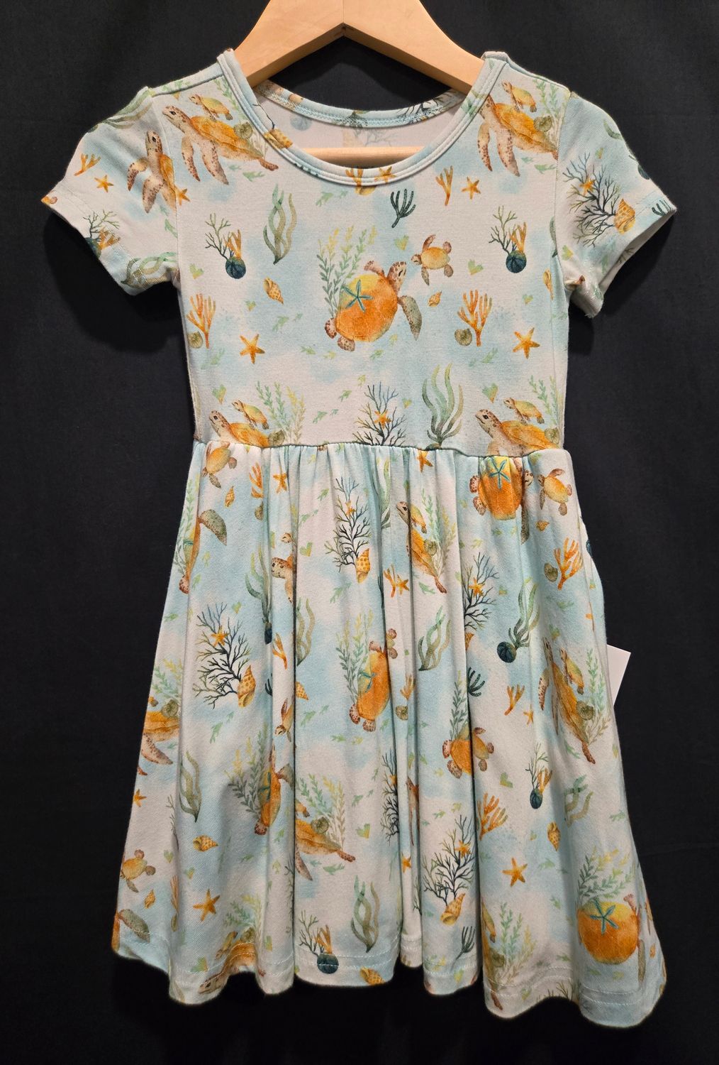 Used 2T Ploom Turtle Dress
