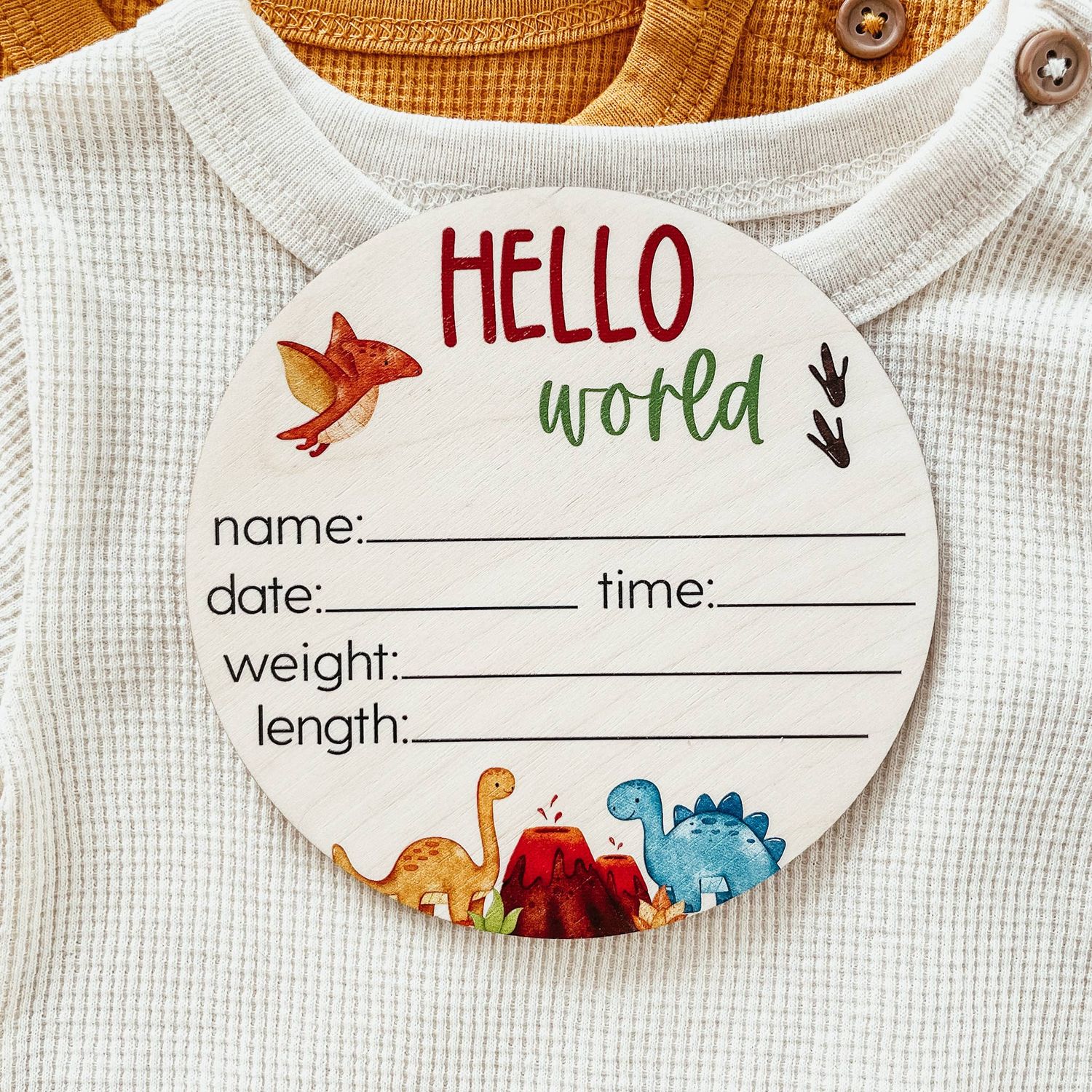 Dino Birth Announcement Sign