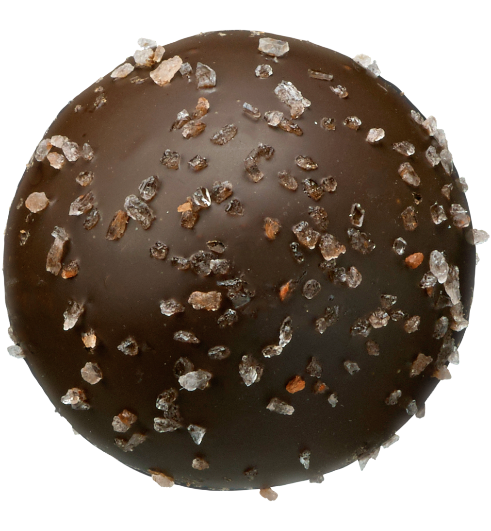 Dark Chocolate Sea Salt Caramel Truffle