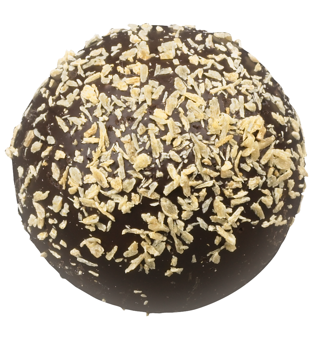 Dark Chocolate Toasted Coconut Truffle
