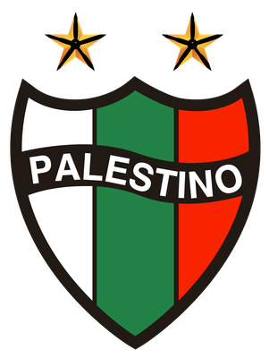 Club Deportivo Palestino