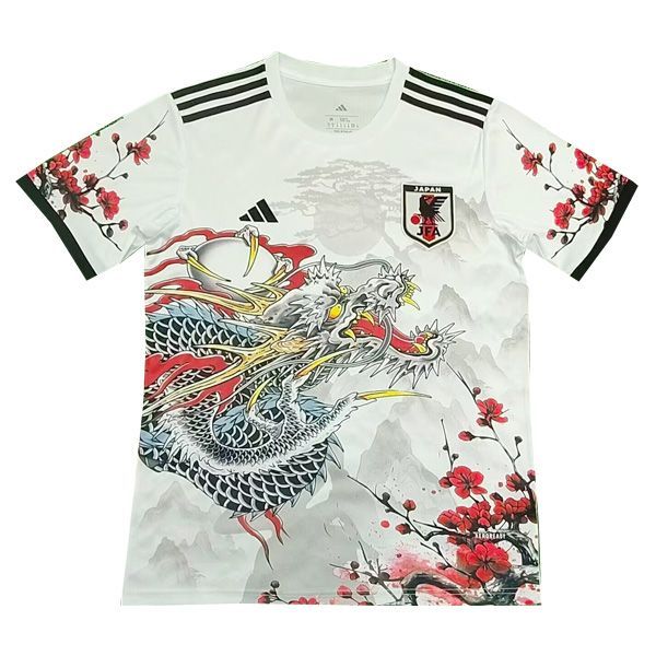 2025 Japan Concept Jersey A