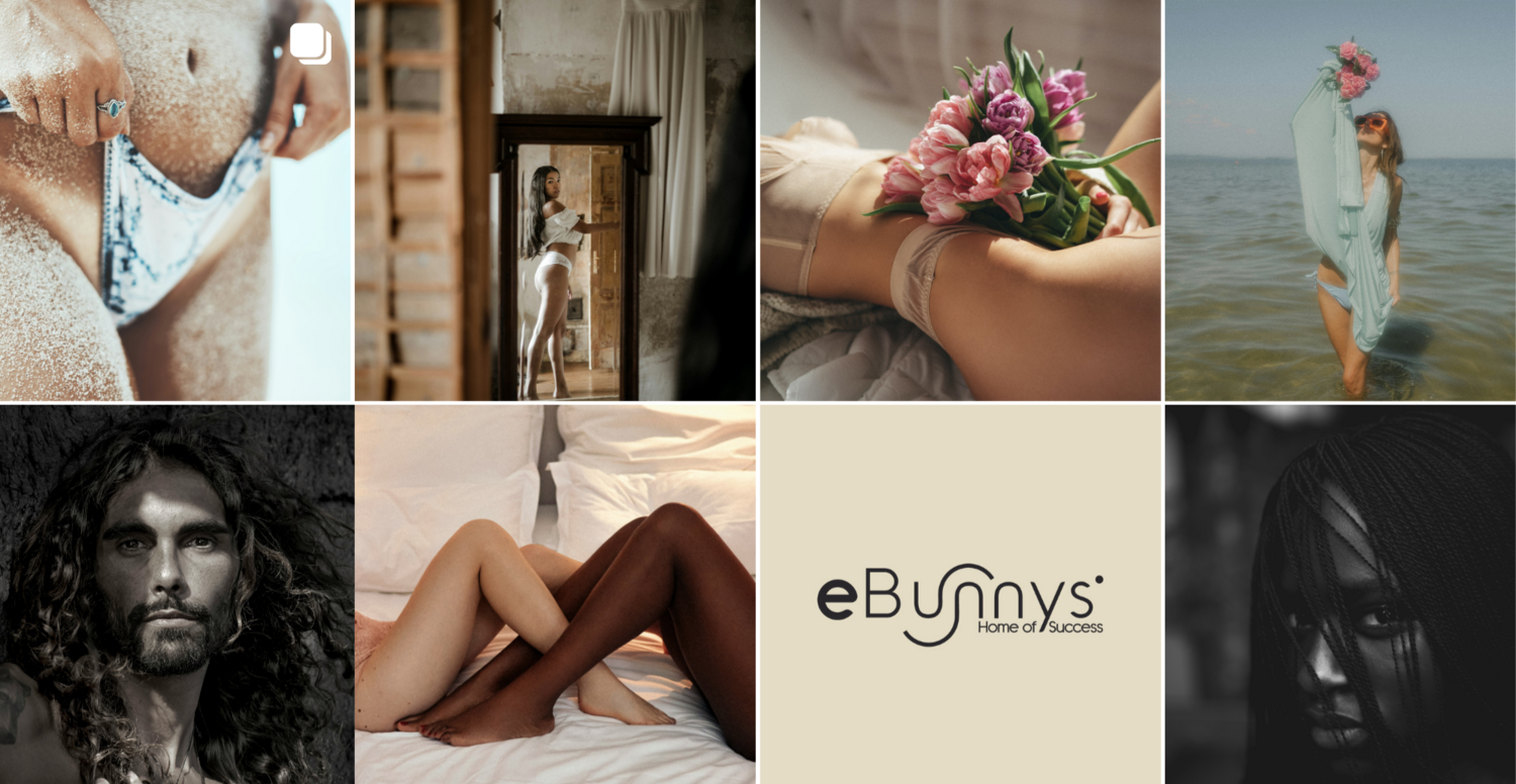 eBunnys Online - Kurs