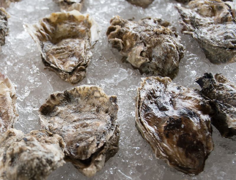 Heritage Skills Workshop: Oyster Shucking