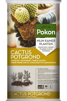 Pokon Cactus Potting Soil 5L