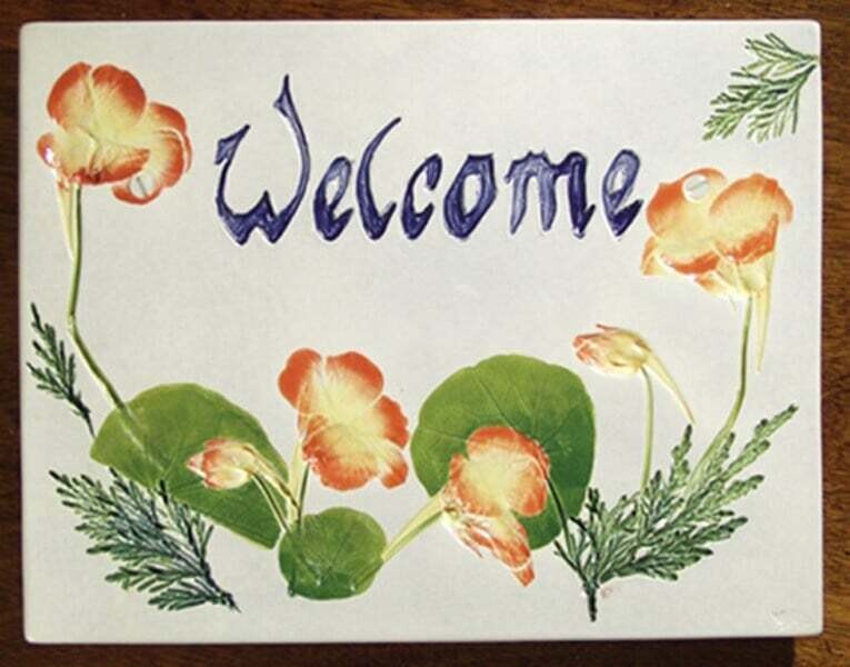 Welcome Nasturtium