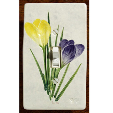 Switch Single Crocus