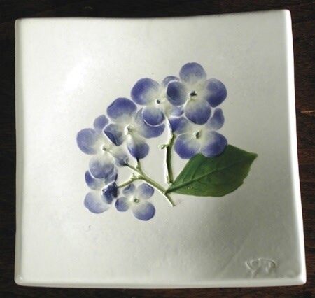 Wave 4 Hydrangea