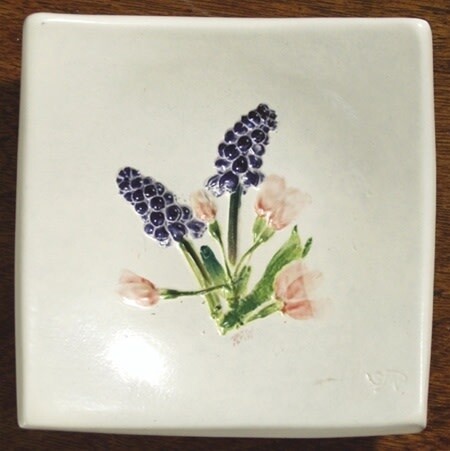 Wave 4 Cherry Grape Hyacinth