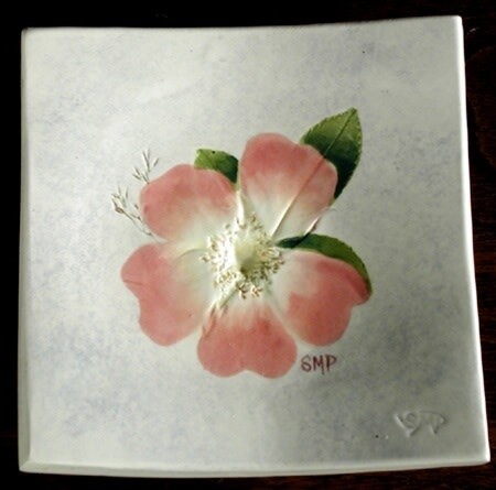 Wave 4 Wild Rose