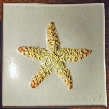 Wave 4 Starfish