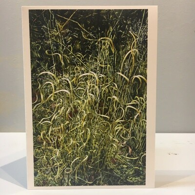 Note Card by JP, Panic Grasses, 5 x 7