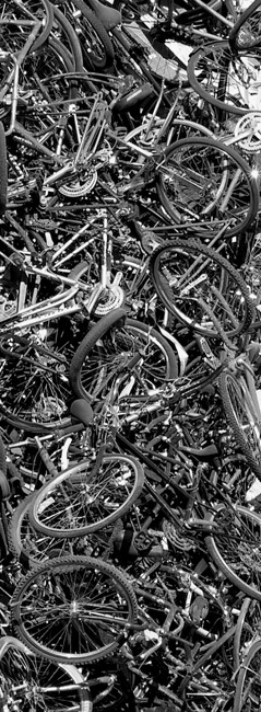 Bicycles, Size: 17 x 22