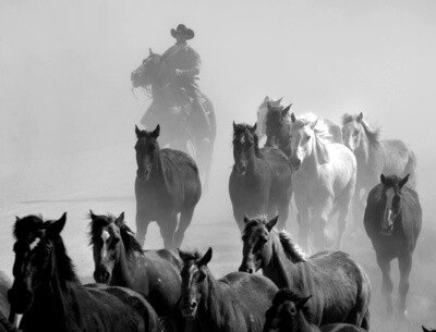 Coming Home