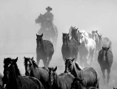 Coming Home