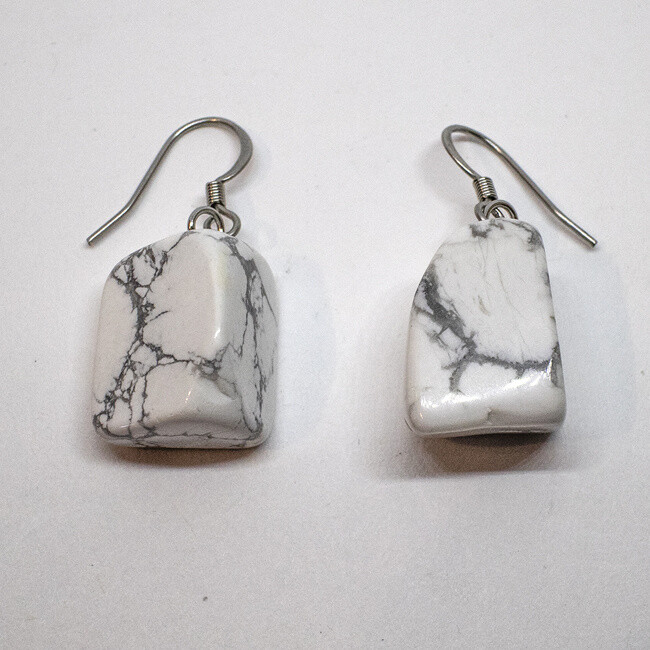 STAINLESS  HOWLITE EARRINGS FJES