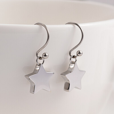 STAINLESS STAR EARRINGS FJE66