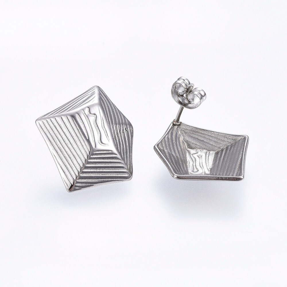 *STAINLESS EARRINGS FJE2T