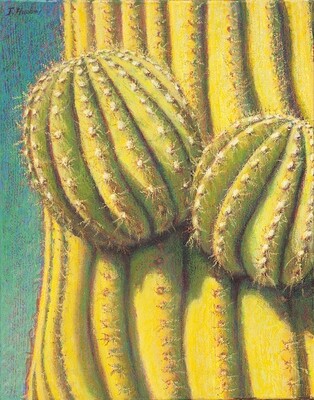 SAGUARO DUO 20" x 16"
