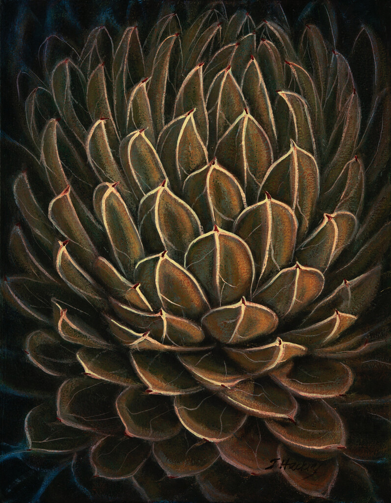 AGAVE VORTEX 18&quot;x14&quot;