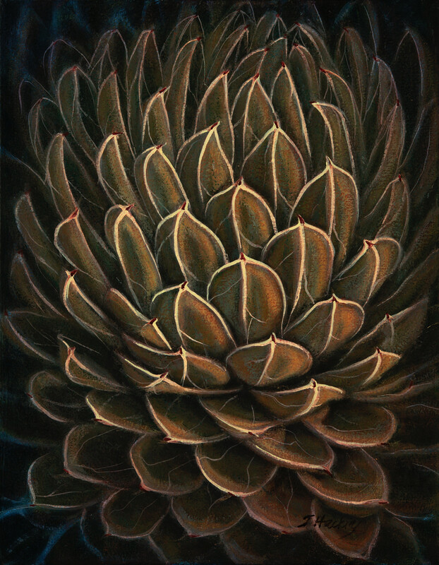 AGAVE VORTEX 18&quot;x14&quot;