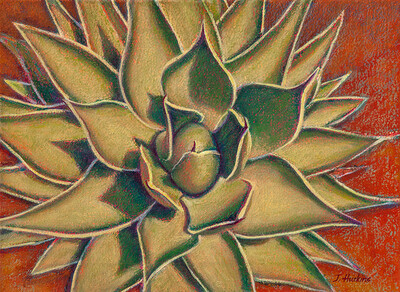 CENTERING AGAVE 12"x16"