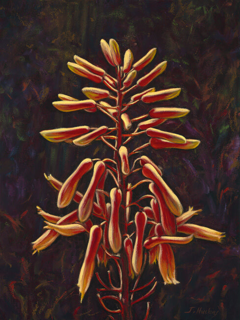 ALOE SPIRIT 24&quot;x28&quot;