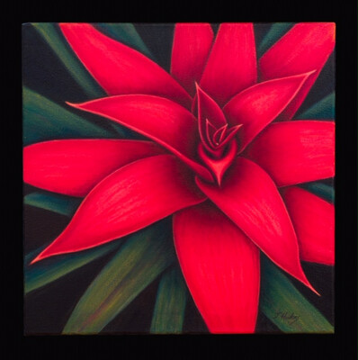 RED EMBRACE 20"x20"